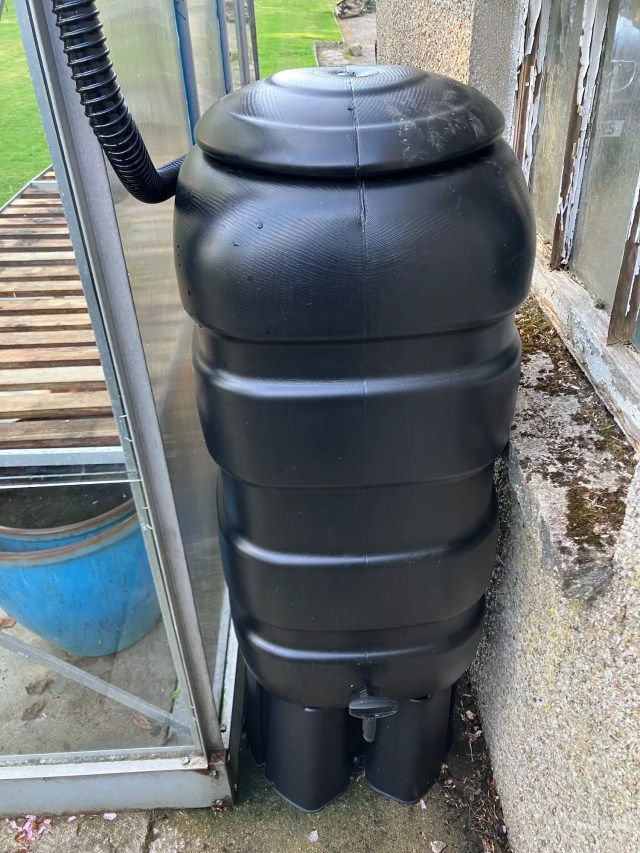Front view of black water butt connected to a greenhouse, showing the outlet tap and full body profile.