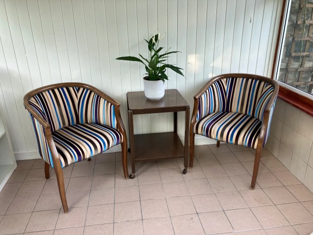 Peace lily in a white ceramic pot placed between two striped chairs in a sunlit summerhouse with wood-panelled walls.