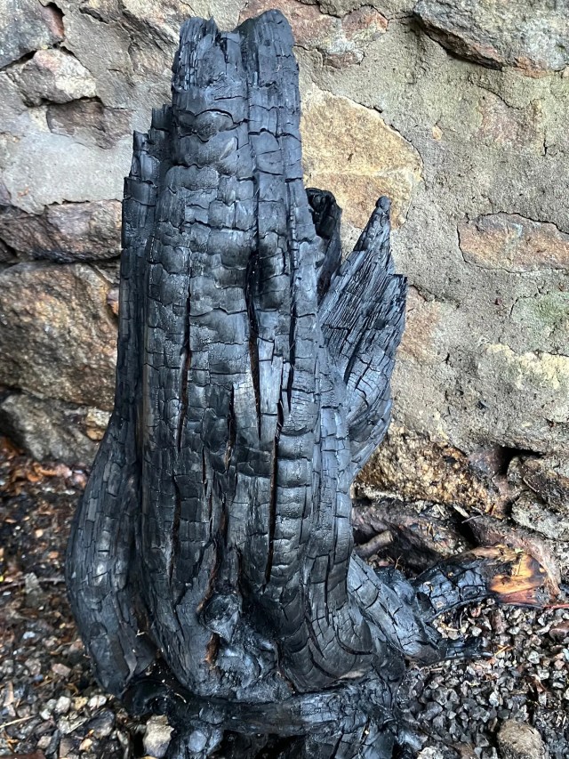 A charred black tree stump placed against a stone wall, its texture cracked and sculptural.