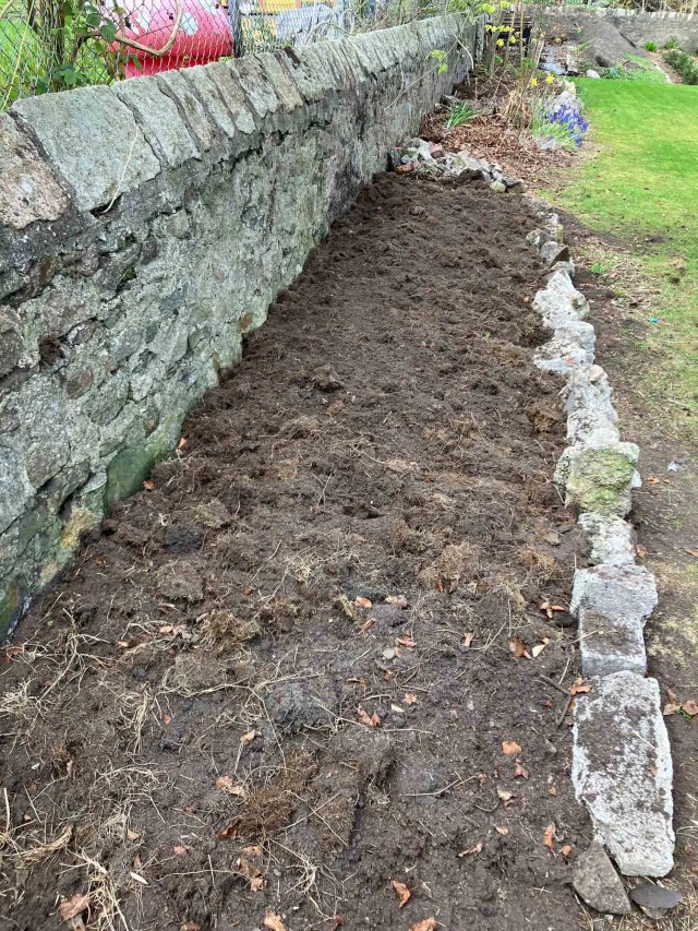 Freshly cleared garden border with newly worked soil and a partially built stone edging beneath a high stone wall.